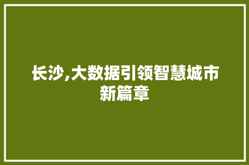 长沙,大数据引领智慧城市新篇章