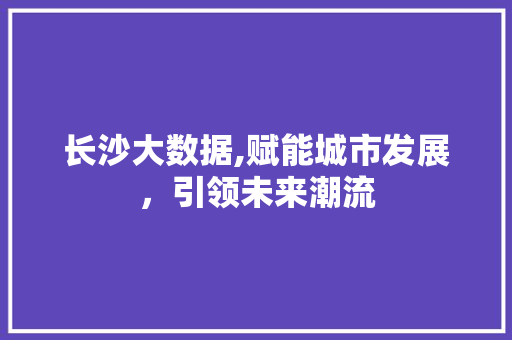 长沙大数据,赋能城市发展，引领未来潮流 必应SEO