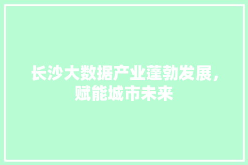 长沙大数据产业蓬勃发展，赋能城市未来