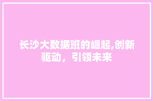 长沙大数据班的崛起,创新驱动，引领未来 GoogleSEO