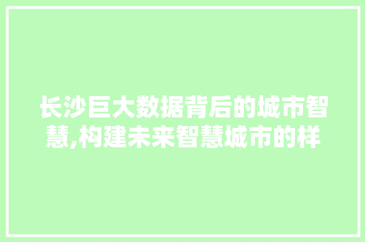 长沙巨大数据背后的城市智慧,构建未来智慧城市的样本 神马SEO