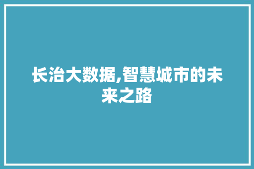 长治大数据,智慧城市的未来之路 GoogleSEO