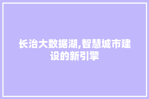 长治大数据湖,智慧城市建设的新引擎 神马SEO