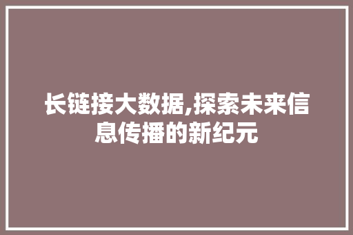 长链接大数据,探索未来信息传播的新纪元 必应SEO