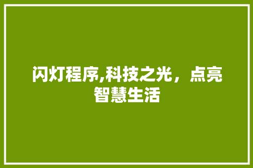 闪灯程序,科技之光，点亮智慧生活 神马SEO