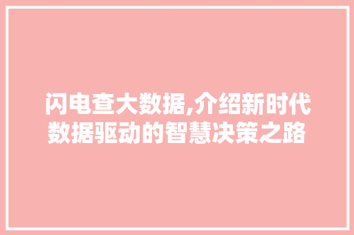 闪电查大数据,介绍新时代数据驱动的智慧决策之路 百度SEO