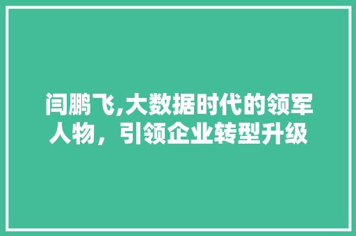 闫鹏飞,大数据时代的领军人物，引领企业转型升级 百度SEO
