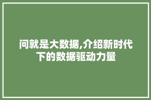 问就是大数据,介绍新时代下的数据驱动力量 百度SEO