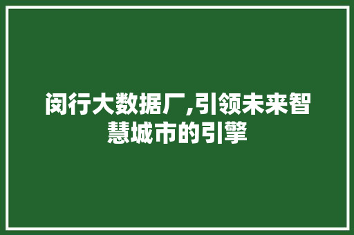 闵行大数据厂,引领未来智慧城市的引擎 必应SEO
