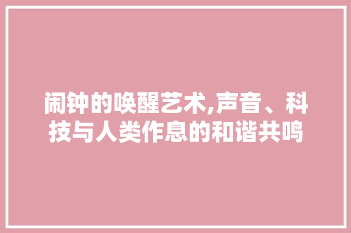 闹钟的唤醒艺术,声音、科技与人类作息的和谐共鸣 神马SEO