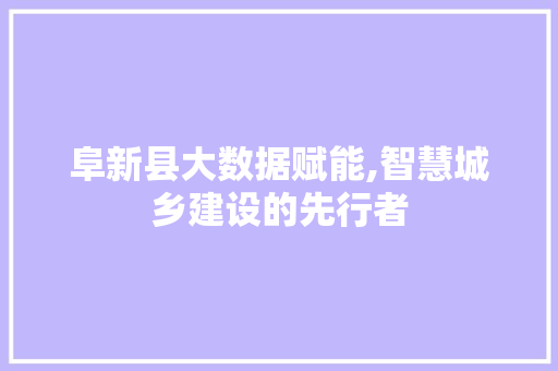 阜新县大数据赋能,智慧城乡建设的先行者 必应SEO