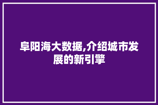 阜阳海大数据,介绍城市发展的新引擎 必应SEO