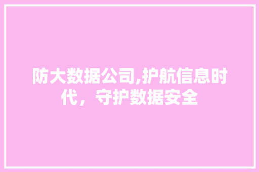 防大数据公司,护航信息时代，守护数据安全 神马SEO