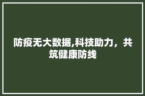 防疫无大数据,科技助力，共筑健康防线