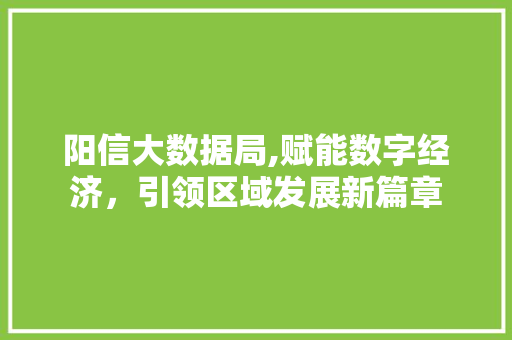 阳信大数据局,赋能数字经济，引领区域发展新篇章 神马SEO