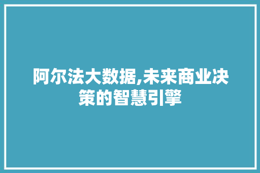 阿尔法大数据,未来商业决策的智慧引擎 神马SEO