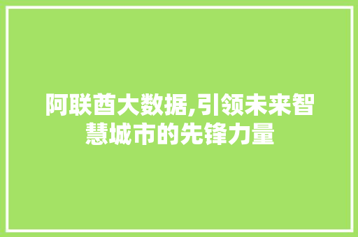 阿联酋大数据,引领未来智慧城市的先锋力量 神马SEO