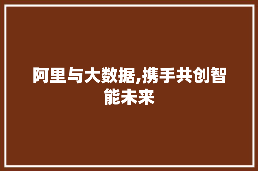阿里与大数据,携手共创智能未来 神马SEO