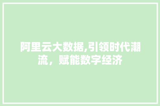 阿里云大数据,引领时代潮流，赋能数字经济 神马SEO