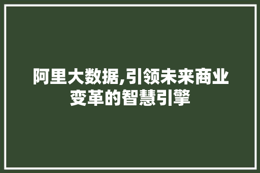 阿里大数据,引领未来商业变革的智慧引擎 神马SEO