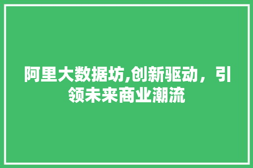 阿里大数据坊,创新驱动，引领未来商业潮流 百度SEO