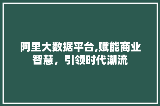 阿里大数据平台,赋能商业智慧，引领时代潮流 百度SEO