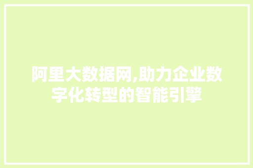 阿里大数据网,助力企业数字化转型的智能引擎 神马SEO