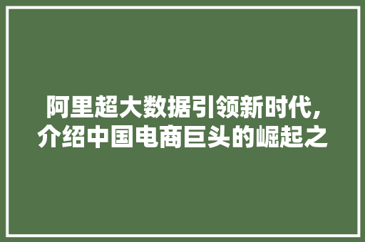 阿里超大数据引领新时代,介绍中国电商巨头的崛起之路