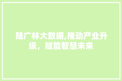 陆广林大数据,推动产业升级，赋能智慧未来