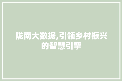 陇南大数据,引领乡村振兴的智慧引擎 必应SEO