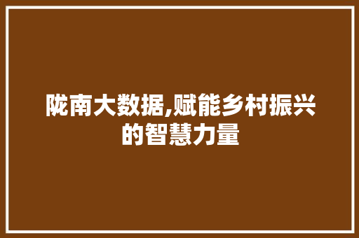 陇南大数据,赋能乡村振兴的智慧力量 必应SEO