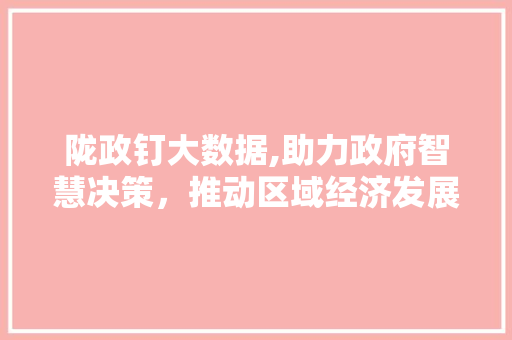 陇政钉大数据,助力政府智慧决策，推动区域经济发展 百度SEO