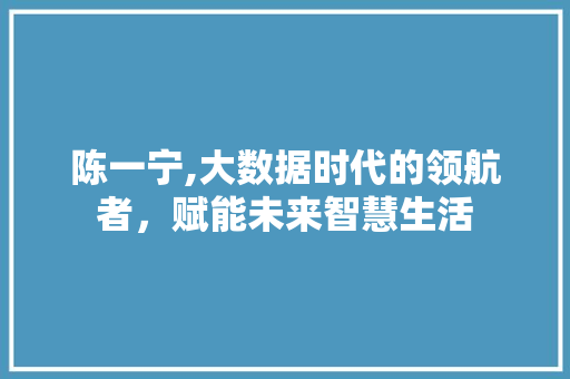 陈一宁,大数据时代的领航者，赋能未来智慧生活 神马SEO
