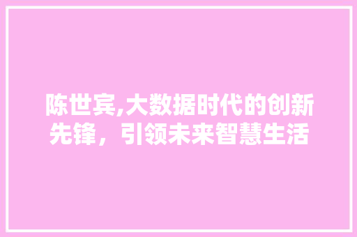 陈世宾,大数据时代的创新先锋，引领未来智慧生活 GoogleSEO