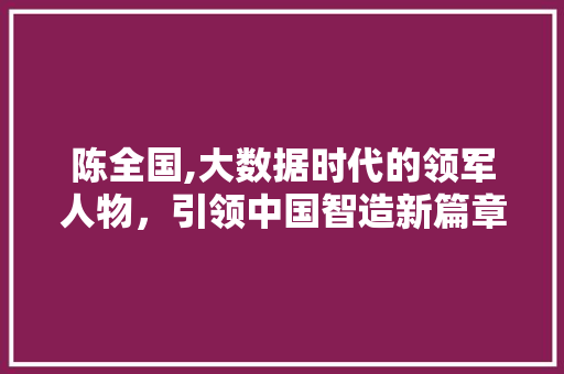 陈全国,大数据时代的领军人物，引领中国智造新篇章 神马SEO