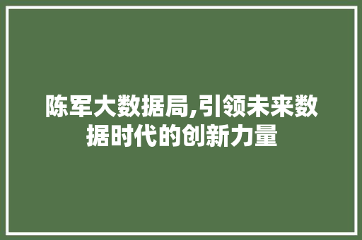 陈军大数据局,引领未来数据时代的创新力量 神马SEO