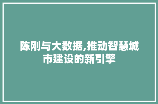 陈刚与大数据,推动智慧城市建设的新引擎 百度SEO