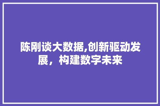 陈刚谈大数据,创新驱动发展，构建数字未来