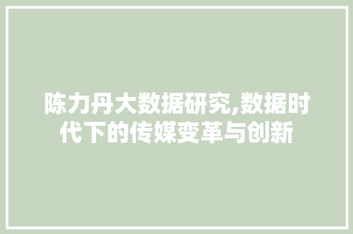 陈力丹大数据研究,数据时代下的传媒变革与创新 神马SEO