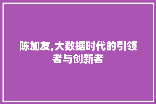 陈加友,大数据时代的引领者与创新者 必应SEO