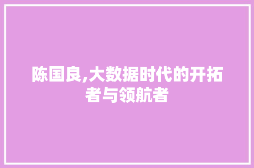陈国良,大数据时代的开拓者与领航者 必应SEO