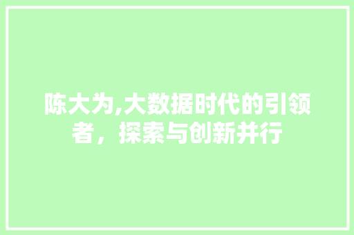 陈大为,大数据时代的引领者，探索与创新并行