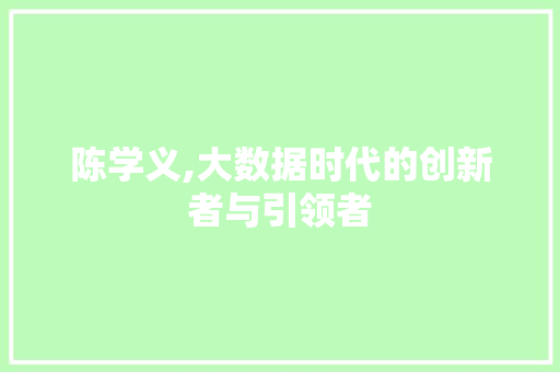 陈学义,大数据时代的创新者与引领者 GoogleSEO