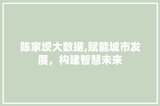 陈家坝大数据,赋能城市发展，构建智慧未来 神马SEO