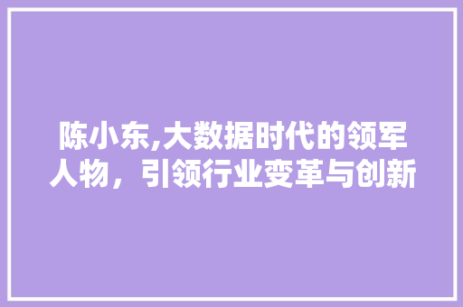 陈小东,大数据时代的领军人物，引领行业变革与创新