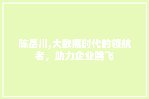 陈岳川,大数据时代的领航者，助力企业腾飞 搜狗SEO