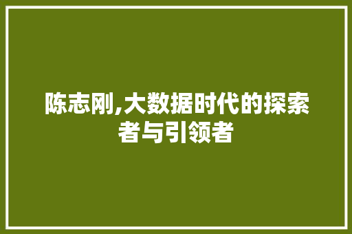 陈志刚,大数据时代的探索者与引领者 必应SEO