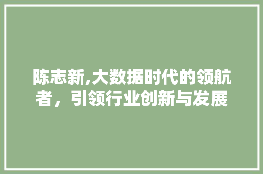 陈志新,大数据时代的领航者，引领行业创新与发展 GoogleSEO
