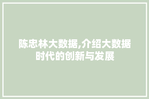 陈忠林大数据,介绍大数据时代的创新与发展