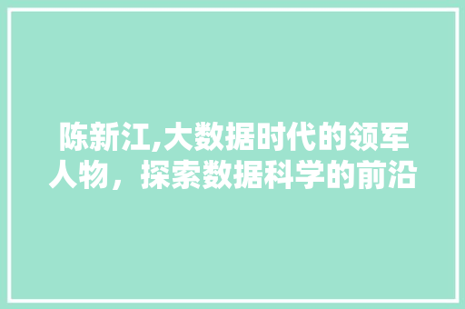 陈新江,大数据时代的领军人物，探索数据科学的前沿领域 必应SEO